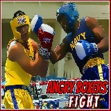 Angry Boxers Fight