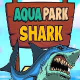 Aqua Park Shark