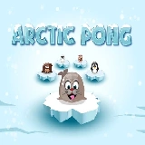 Arctic Pong