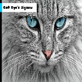 Cat Eye's Jigsaw