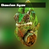 Chameleon Jigsaw