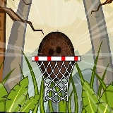 Coconut Basketball