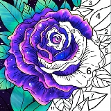 Coloring Book Color by Number