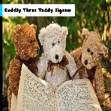 Cuddly Three Teddy Jigsaw