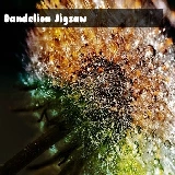 Dandelion Jigsaw