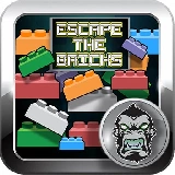 Escape Bricks