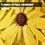Flower Petals Raindrop Jigsaw