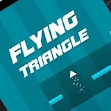 Flying Triangle 2021