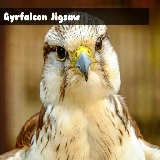 Gyrfalcon Jigsaw