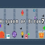 Kingdom of Ninja 7