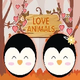 Love Animals