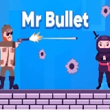 Mr Bullet