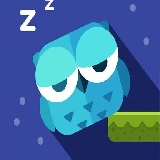 Owl Cant Sleep