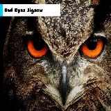 Owl Eyes Jigsaw