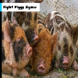 Piglet Piggy Jigsaw