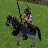 Reiten Simulator