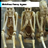 Skeletons Funny Jigsaw