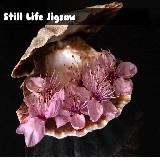 Still Life Jigsaw