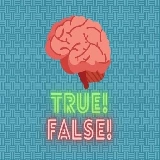 True or false quiz