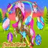 Unicorn Pony Pet Salon