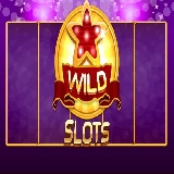 Wild Slot