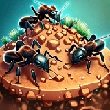 Ant Colony