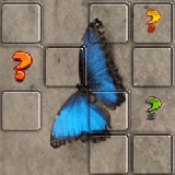 Butterfly Memory Match