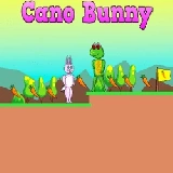 Cano Bunny