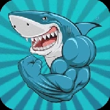 Crazy Shark