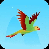 Flying Parrot