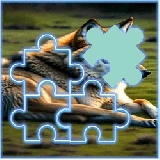 Wolf Tile Block Puzzle